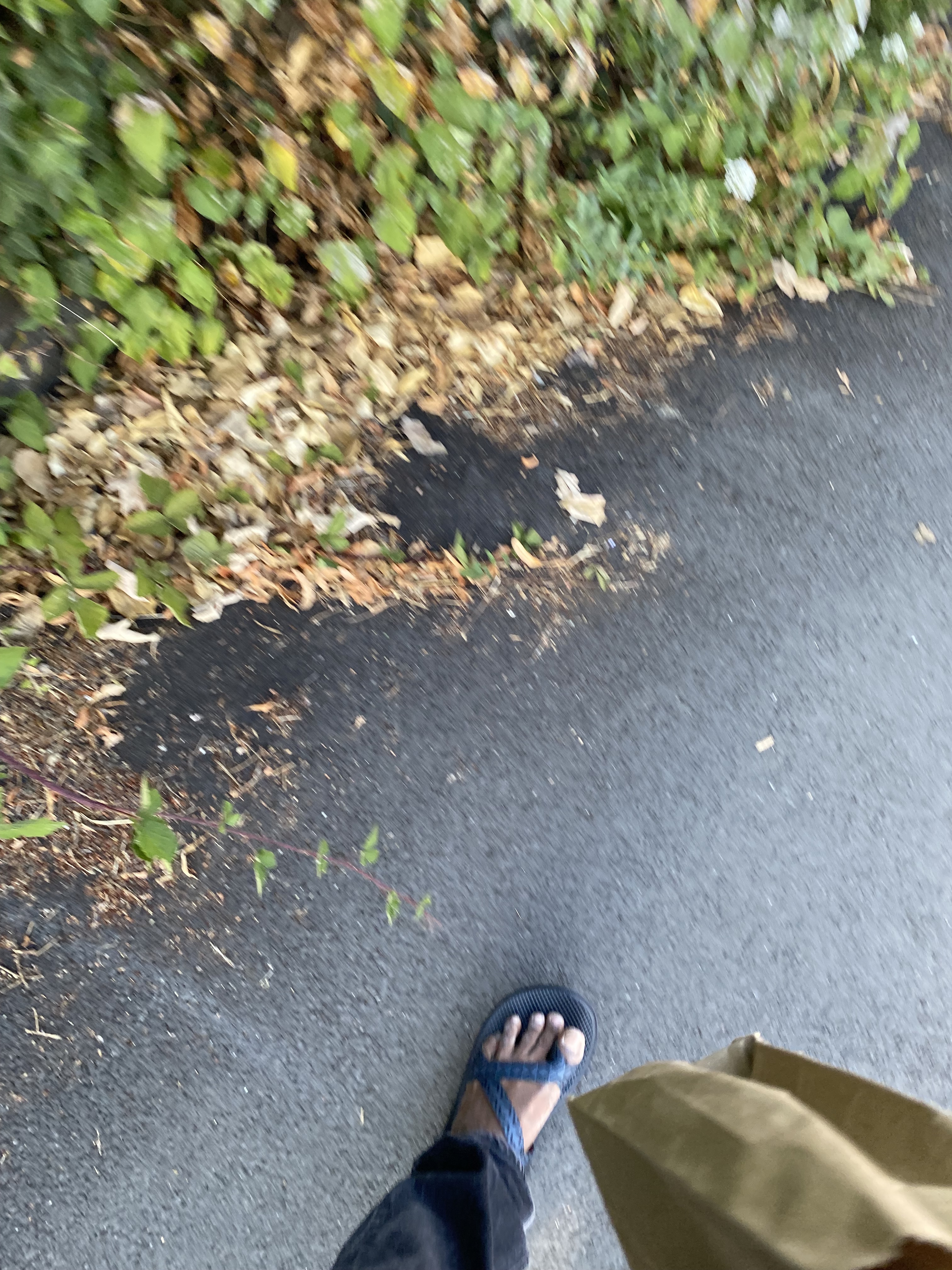 a blurred photo taken accidentally